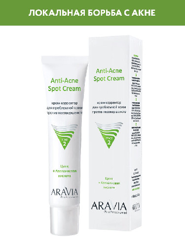 Крем-корректор для проблемной кожи против несовершенств Anti-Acne Spot Cream, 40 мл