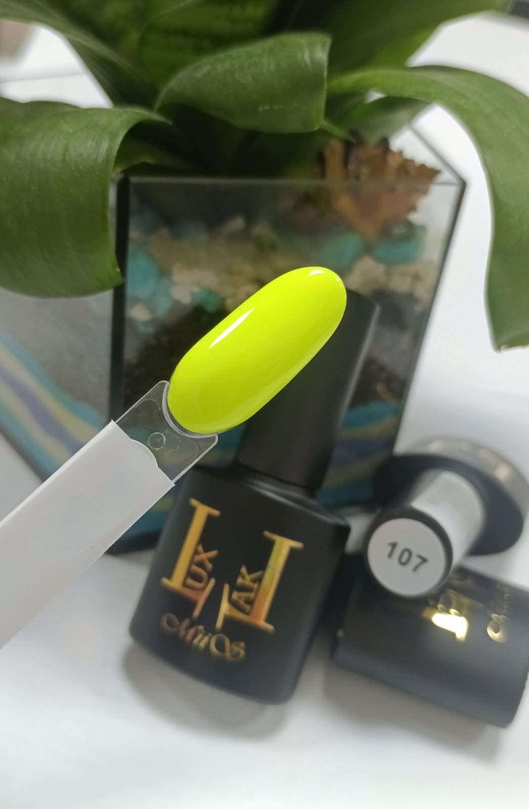 MiiS Lux Lak 107