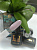 MiiS Lux Lak 186